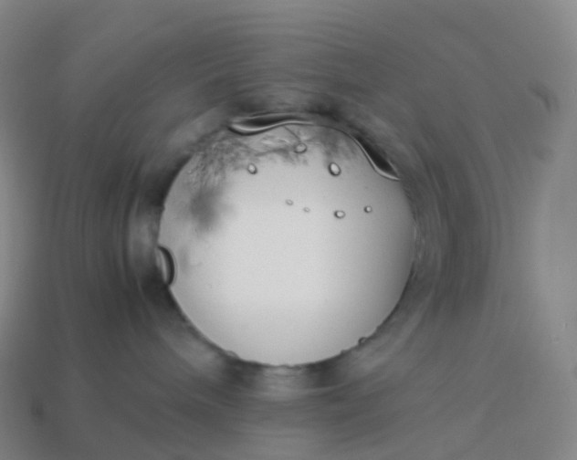 X0000113890240200910081814