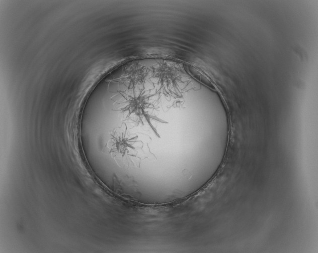 X0000113890241200910081814