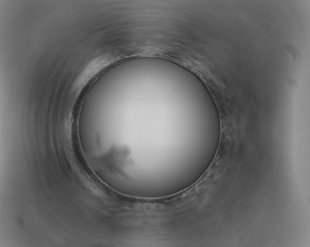 X0000113890242200910081814