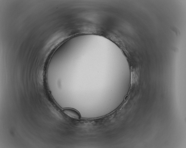 X0000113890243200910081814