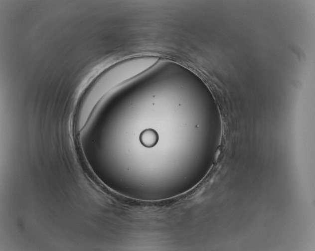 X0000113890244200910081814