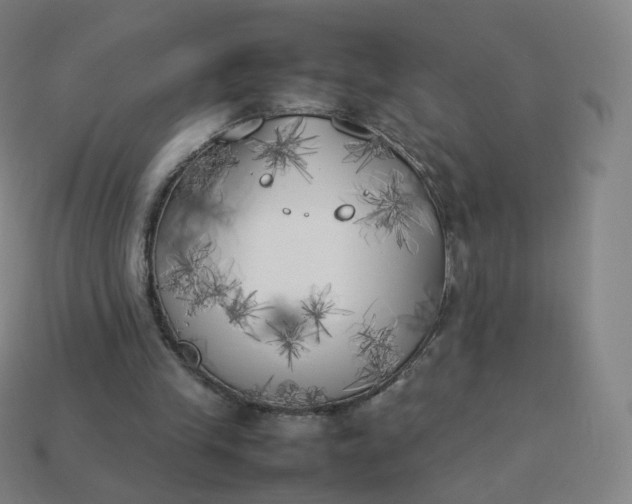 X0000113890245200910081814