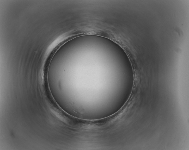 X0000113890246200910081814