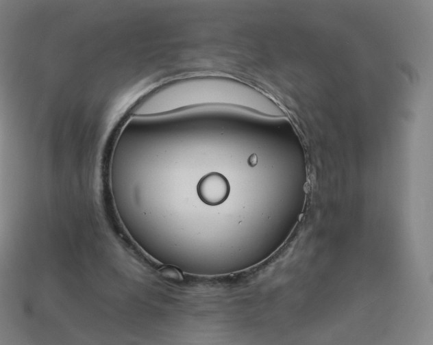 X0000113890248200910081814