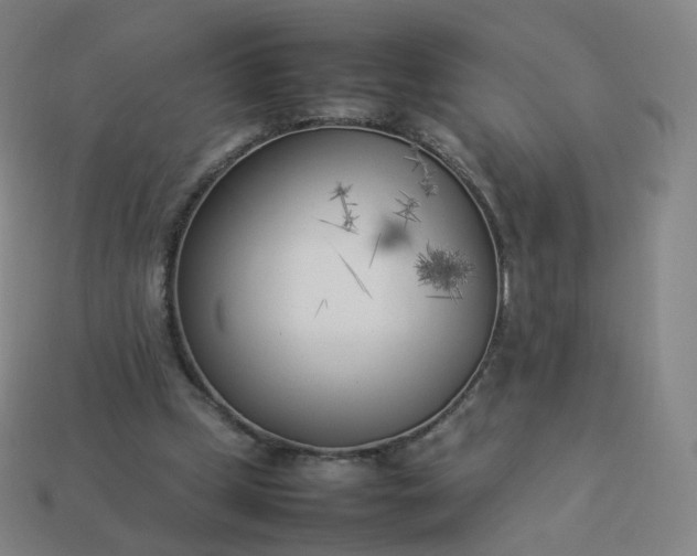 X0000113890249200910081814