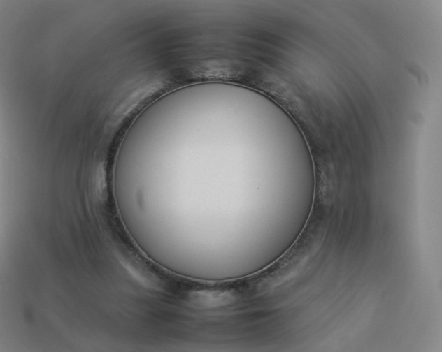 X0000113890251200910081814