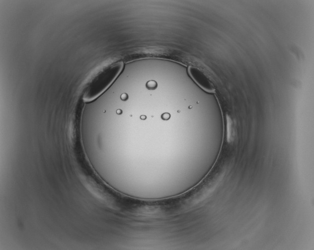 X0000113890252200910081814