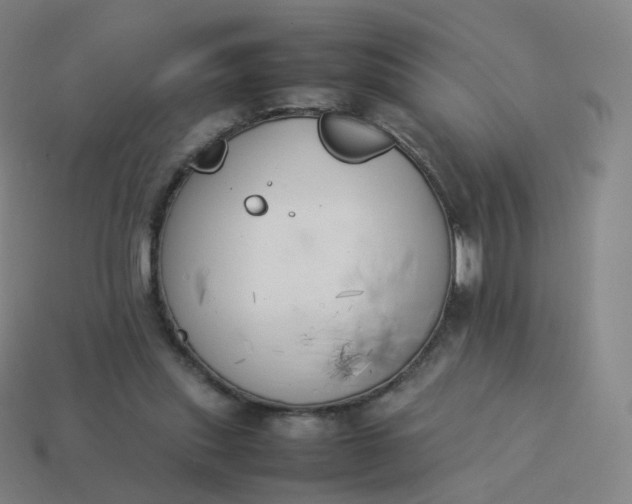 X0000113890253200910081814