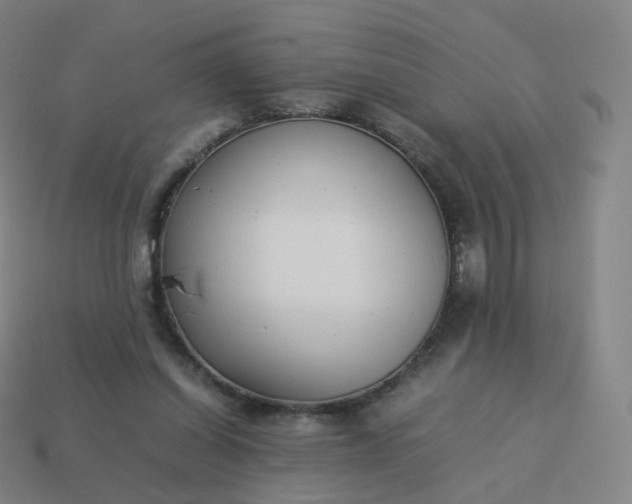 X0000113890254200910081814