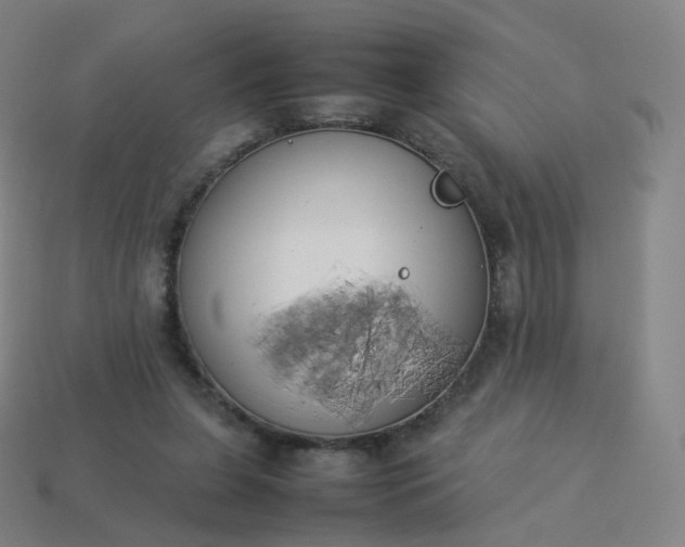 X0000113890255200910081814