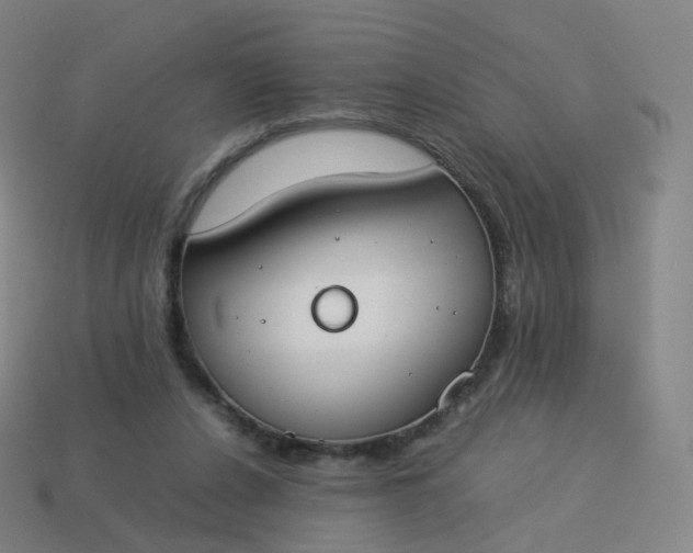 X0000113890256200910081814