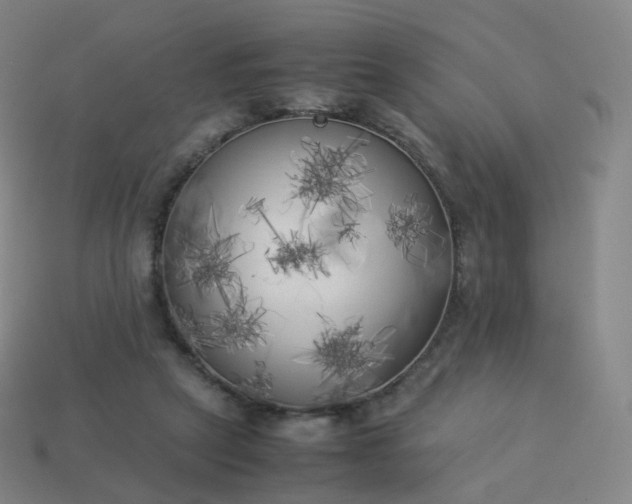 X0000113890257200910081814