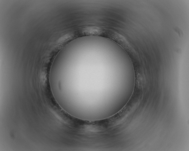 X0000113890259200910081814