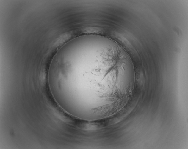 X0000113890261200910081814