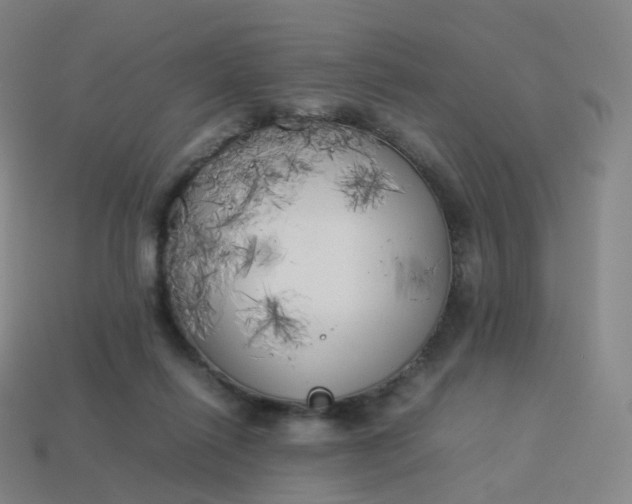 X0000113890262200910081814