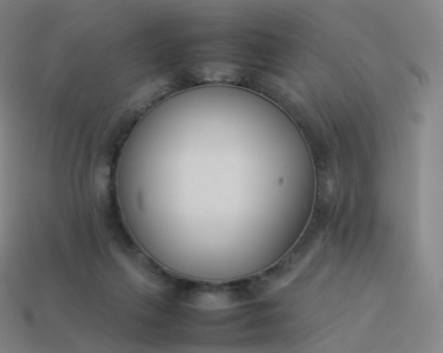 X0000113890263200910081814