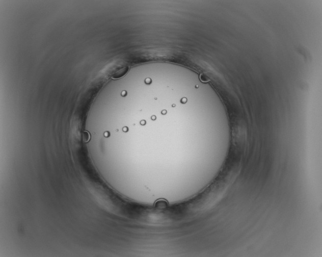 X0000113890264200910081814