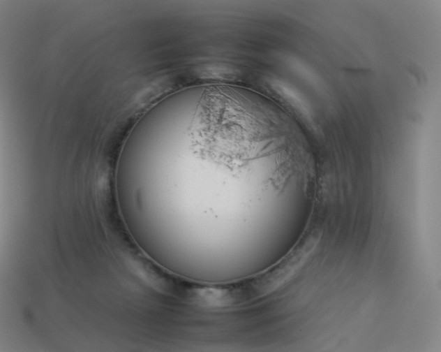 X0000113890265200910081814