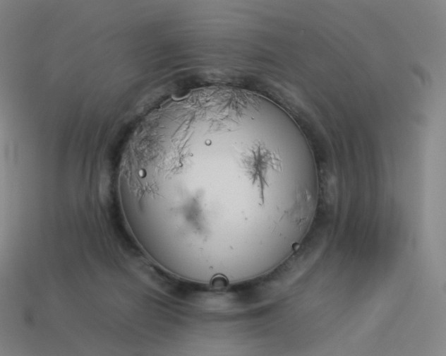 X0000113890266200910081814