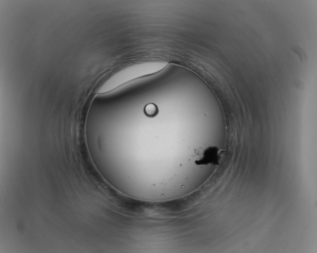 X0000113890268200910081814