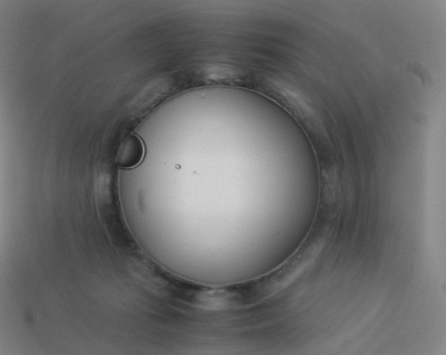 X0000113890269200910081814