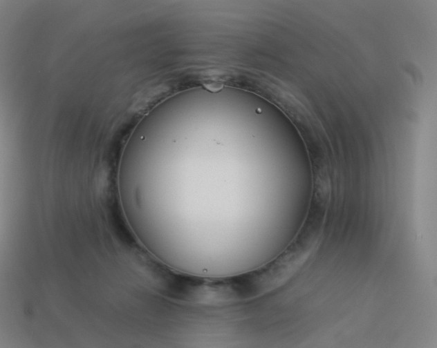 X0000113890270200910081814