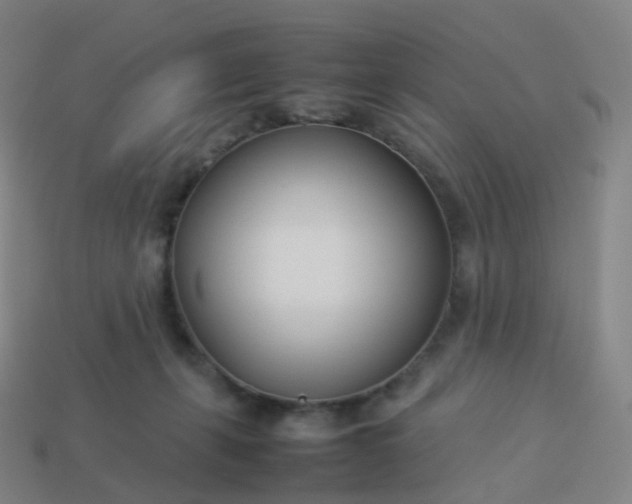 X0000113890271200910081814