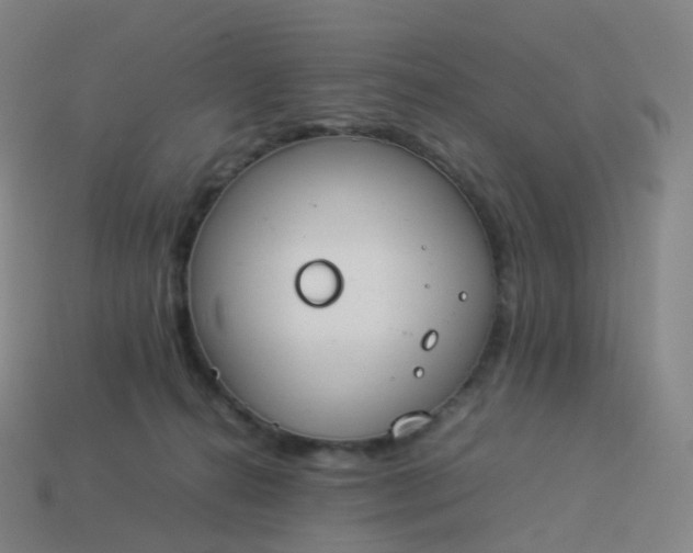 X0000113890272200910081814