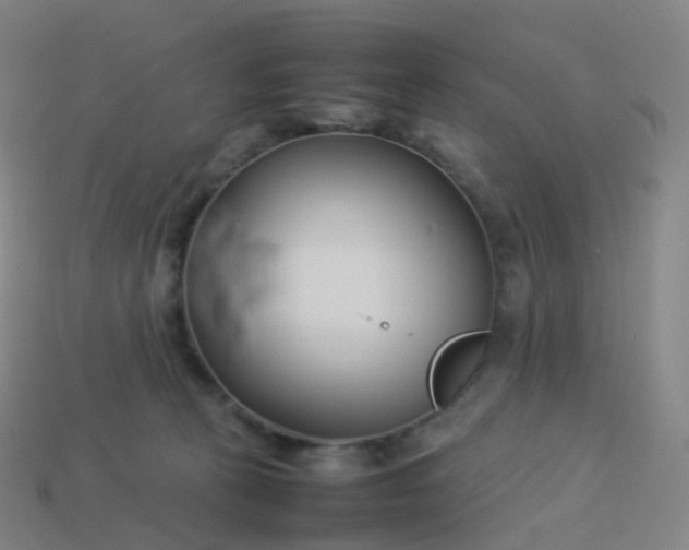 X0000113890273200910081814