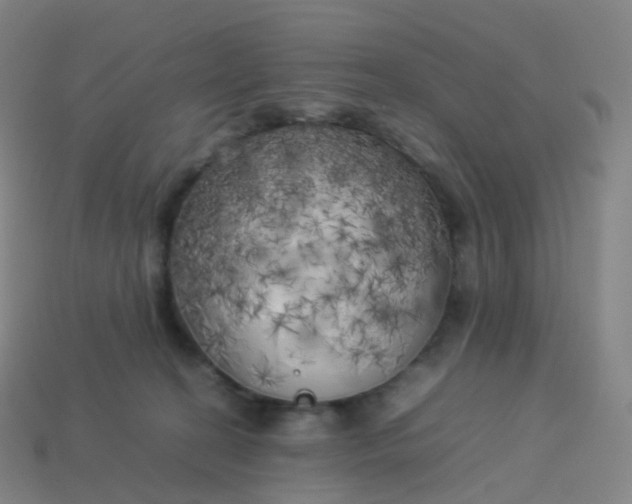 X0000113890274200910081814