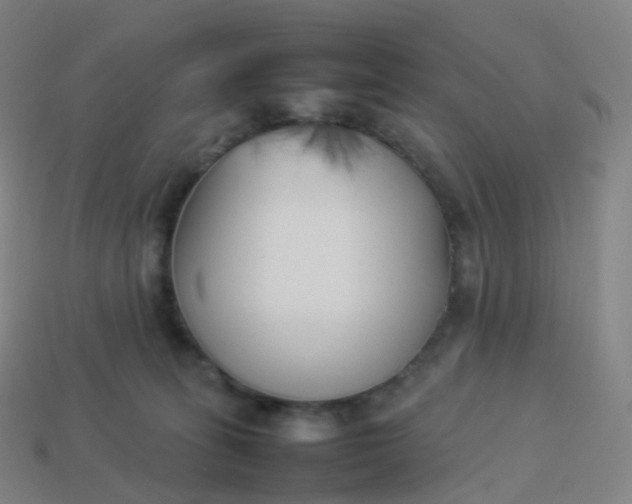 X0000113890275200910081814