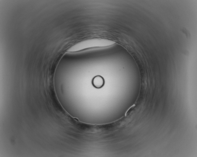 X0000113890276200910081814