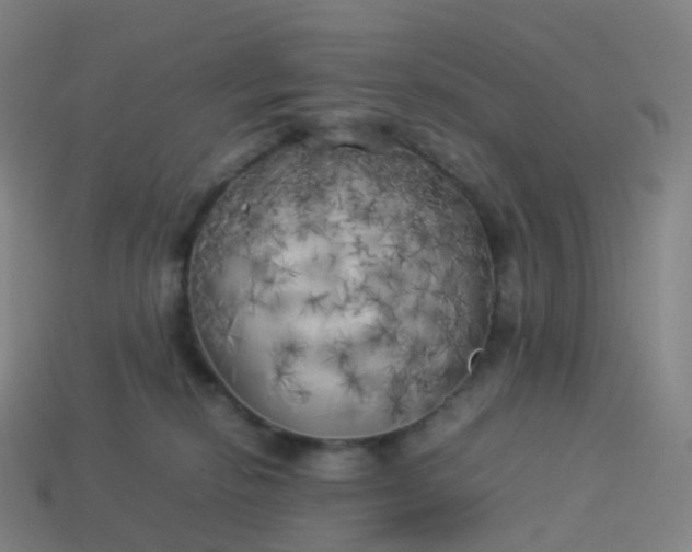 X0000113890278200910081814