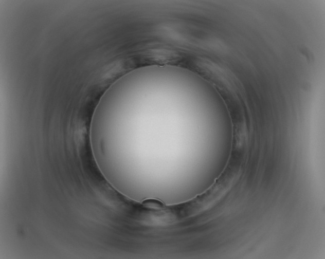 X0000113890279200910081814