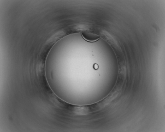 X0000113890281200910081814