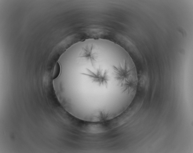 X0000113890283200910081814