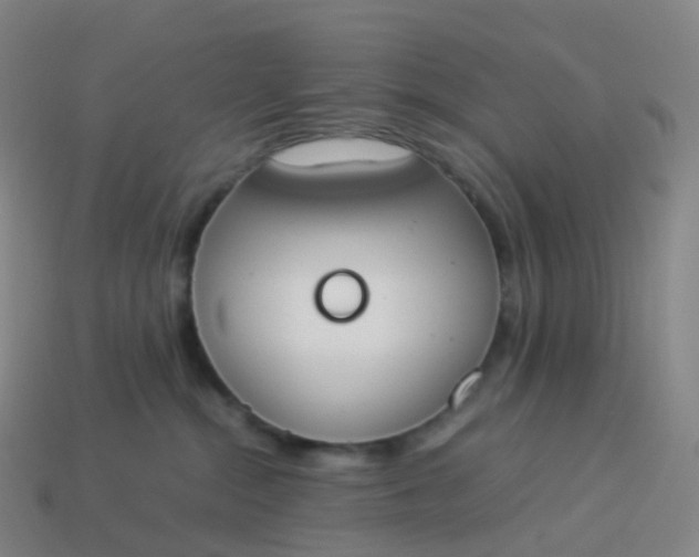 X0000113890284200910081814