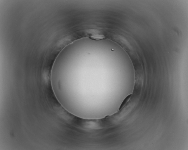 X0000113890285200910081814