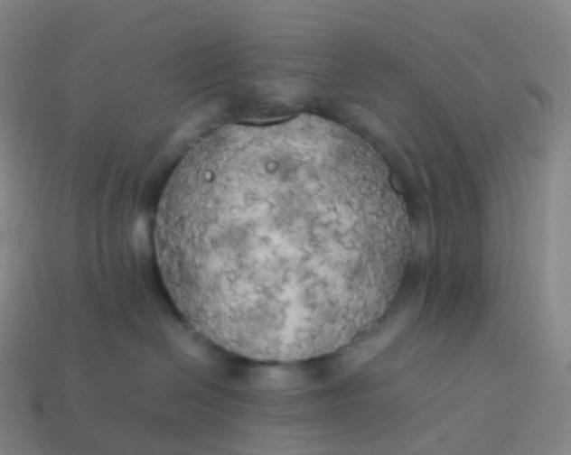 X0000113890286200910081814