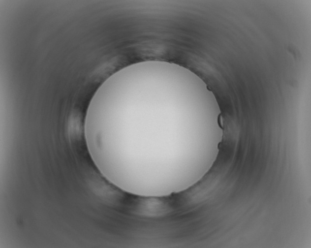 X0000113890287200910081814