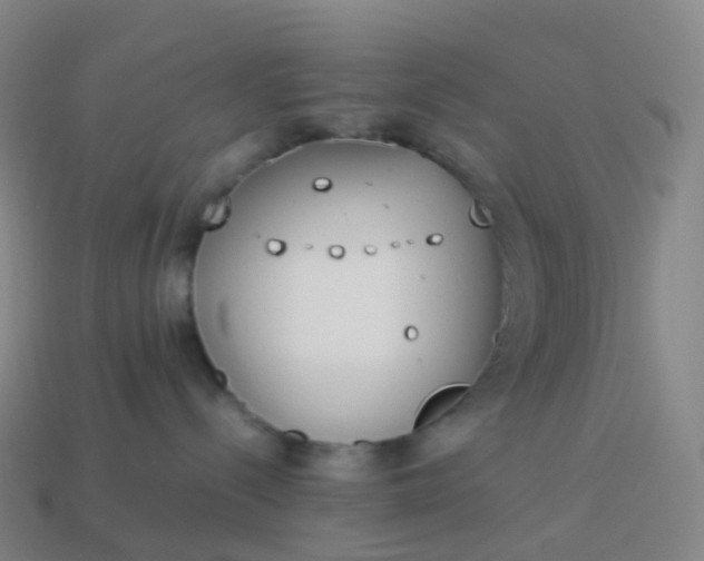 X0000113890288200910081814