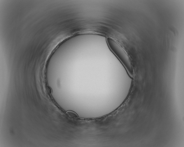 X0000113890289200910081814