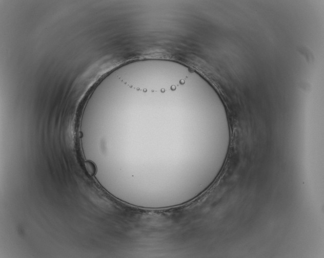 X0000113890290200910081814