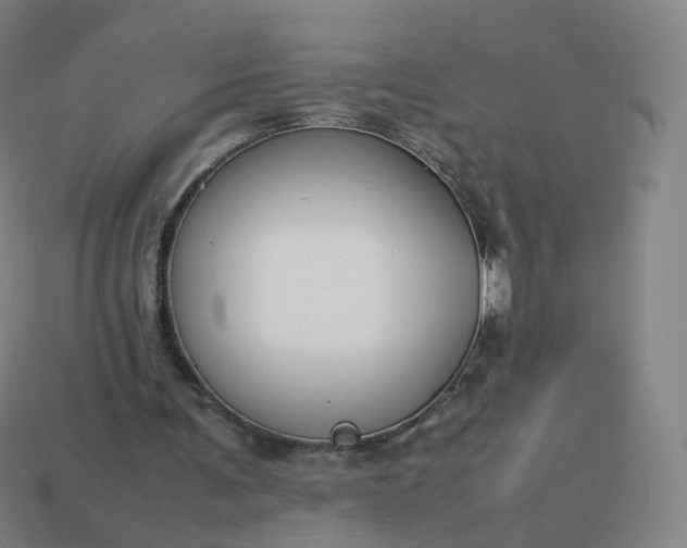 X0000113890291200910081814