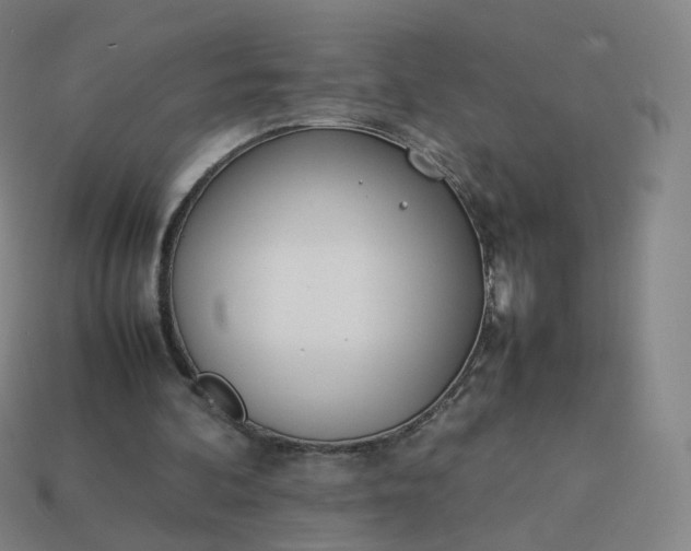 X0000113890292200910081814