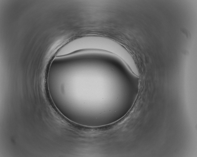 X0000113890293200910081814