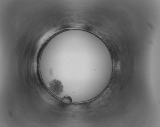 X0000113890294200910081814