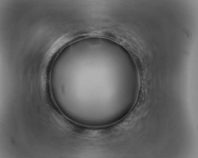 X0000113890295200910081814