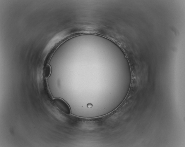 X0000113890296200910081814