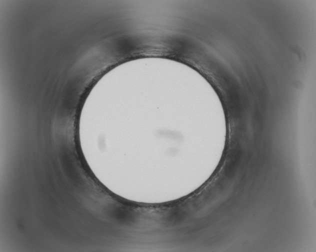 X0000113890297200910081814